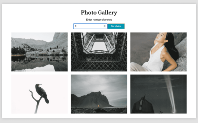 JS WP Plugin #12 – Photo Gallery